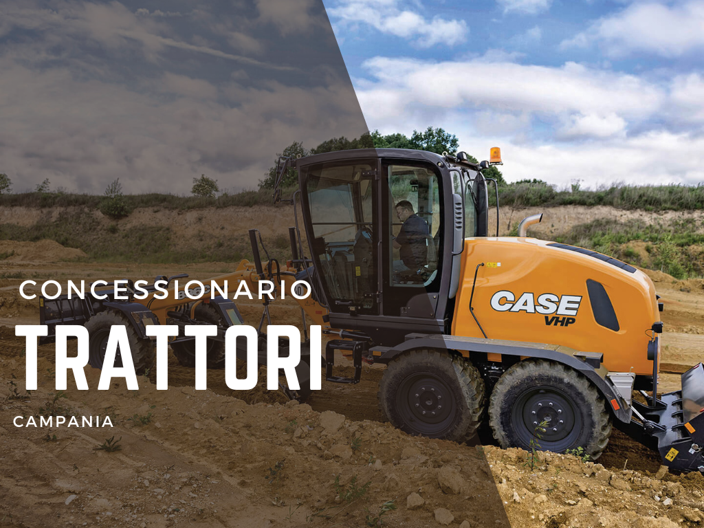 CONCESSIONARIO CASE CONSTRUCTION CAMPANIA